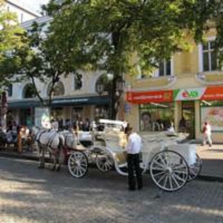 Deribasovskaya,16 Leilighet Odessa Eksteriør bilde
